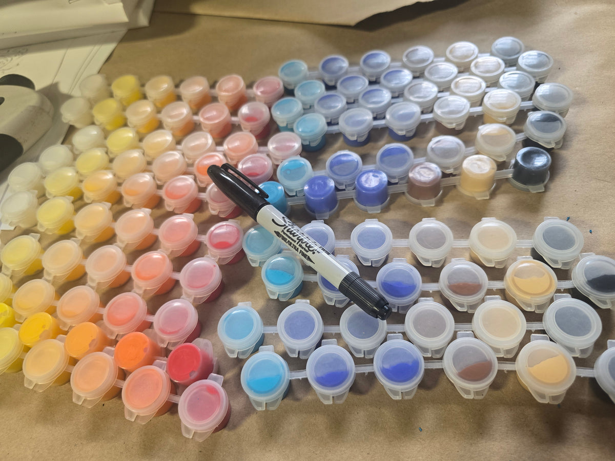 Coney-I paint by number kit
